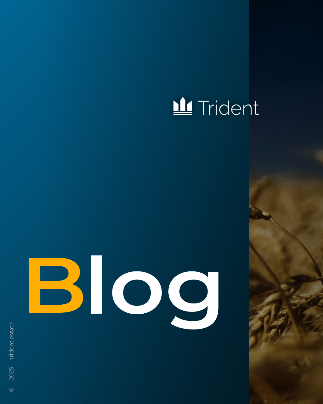 Média Tridentstate - Investissement immobilier en Ukraine 3