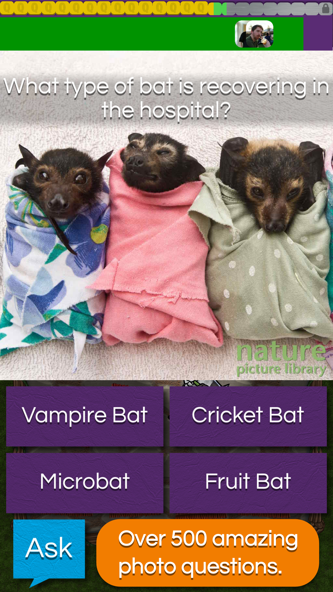 QuizTix: Animal Pics gallery image