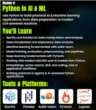 Full-Stack Python for AI Developers gallery image