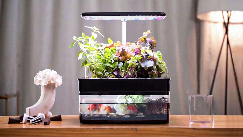 NatureCube gallery image