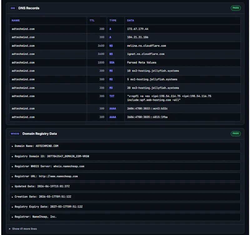 DNS Scouter screenshot 1