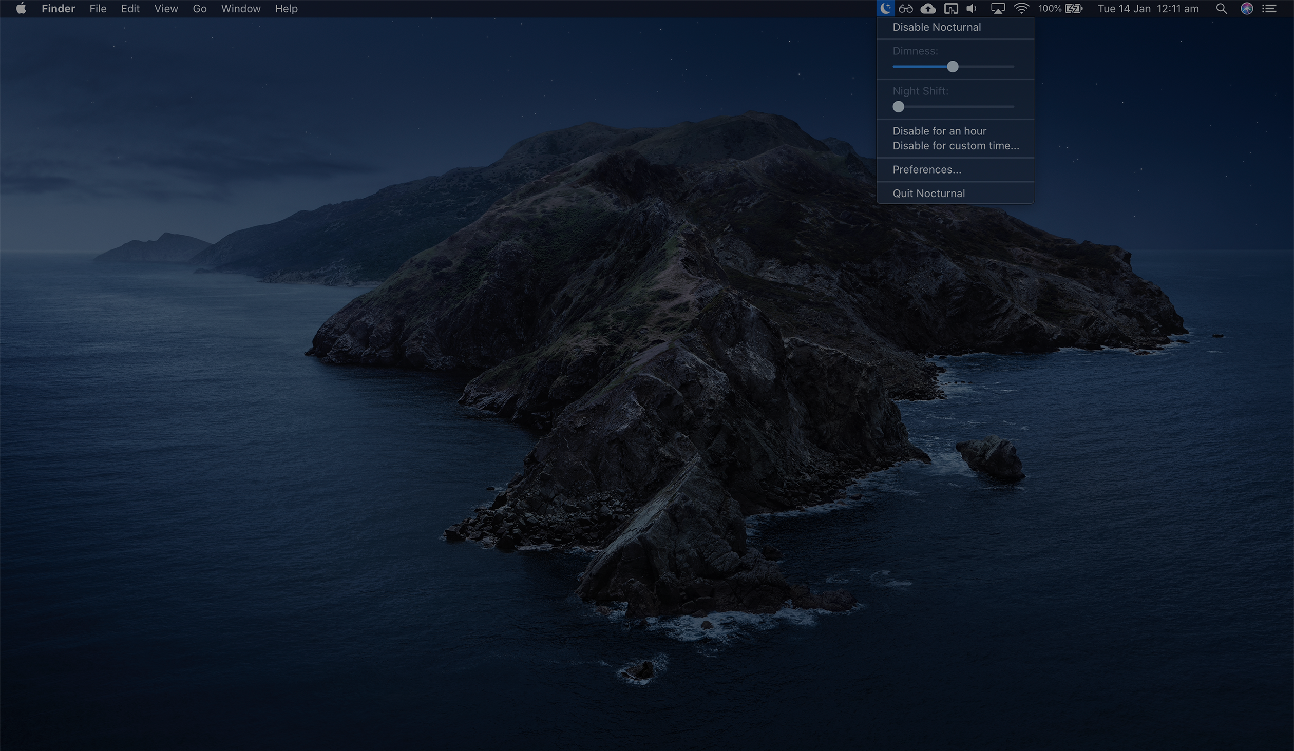 Nocturnal gallery image