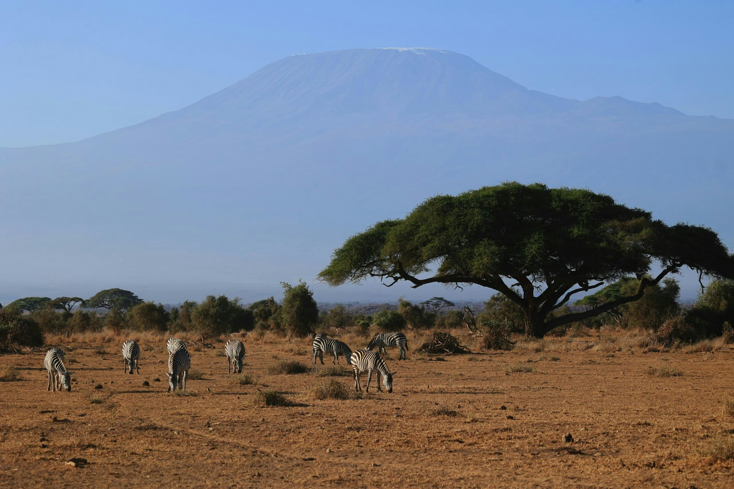 Africantrust Safari gallery image