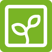 Habit Grove - Product Hunt launch logo and brand identity