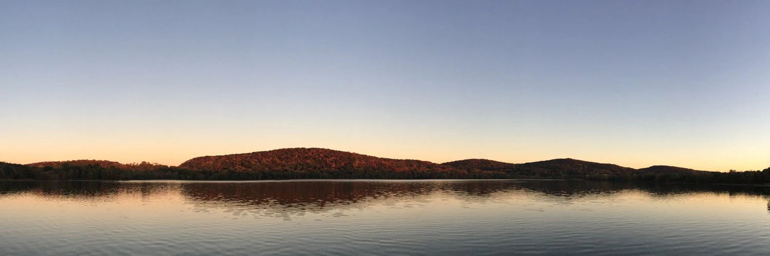 Mordechai Levi cover