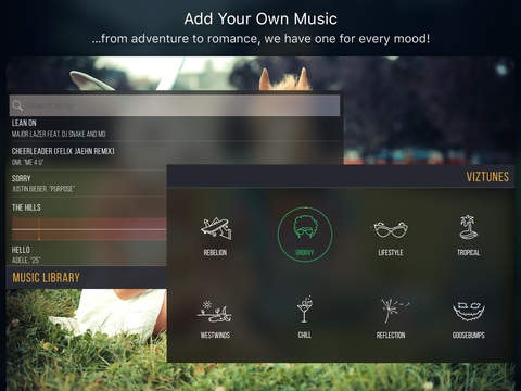 Vizmato gallery image