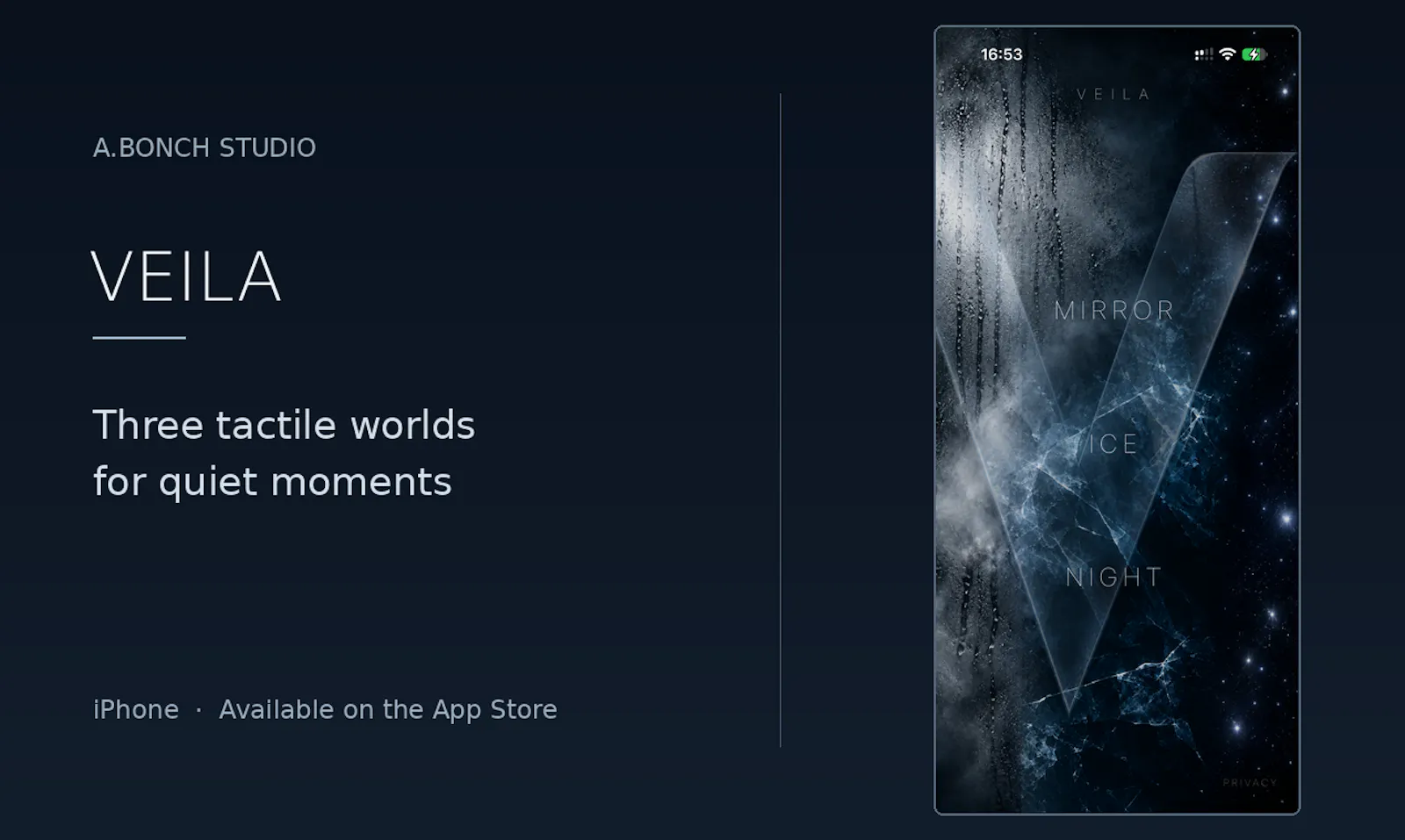 VEILA screenshot 2