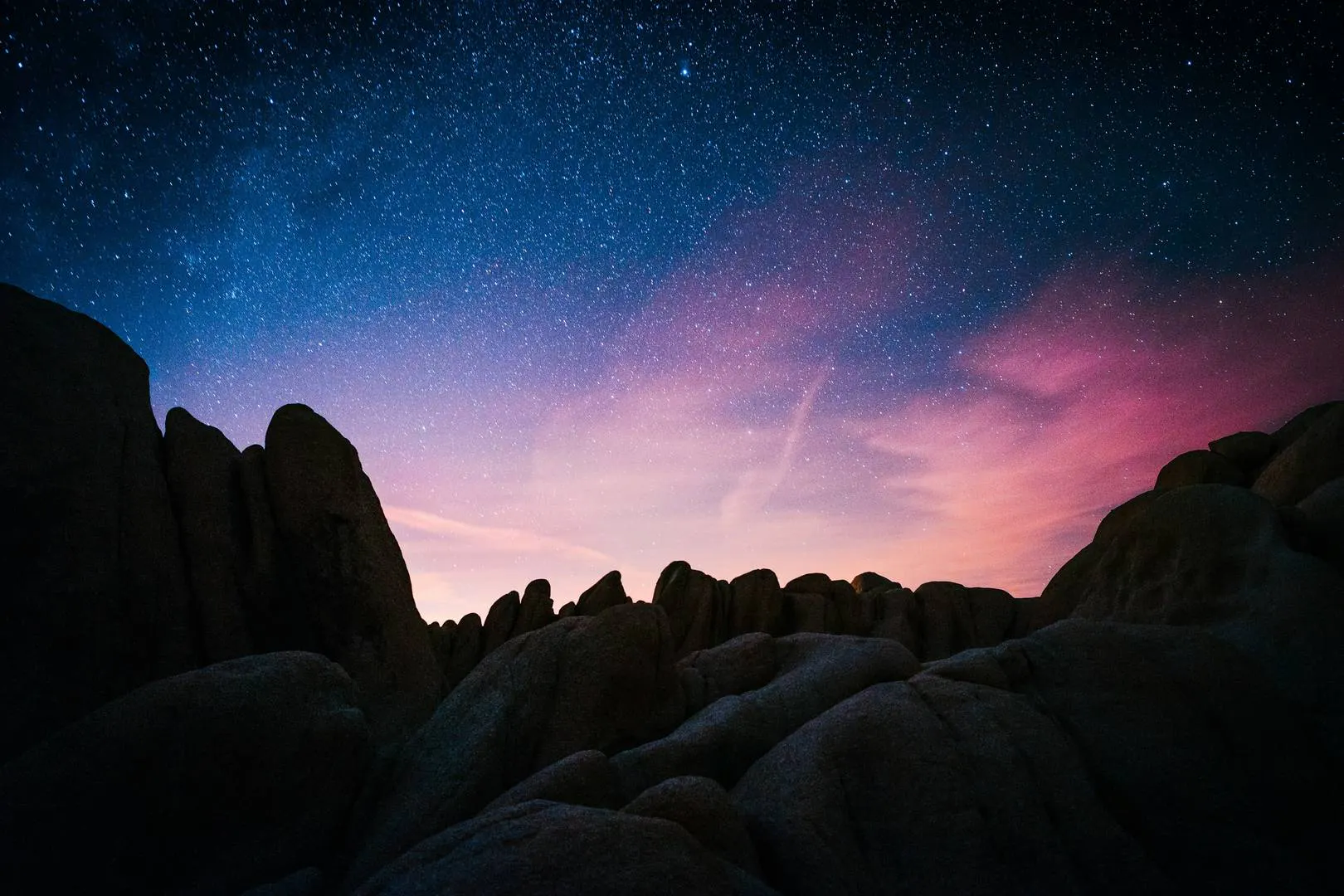 Cosmos  gallery image