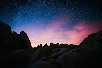 Cosmos gallery image