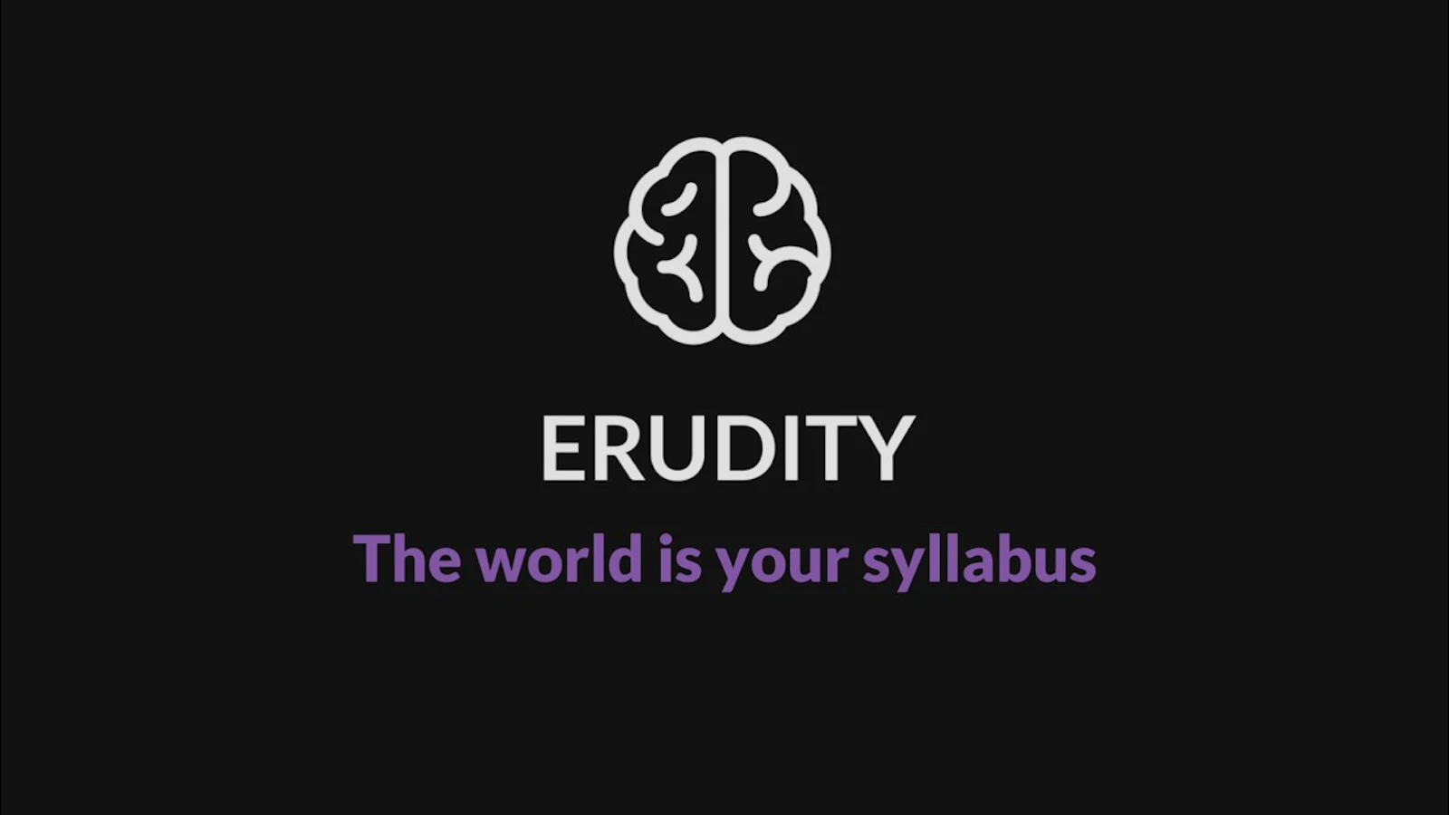 Erudity screenshot 1 (video preview)