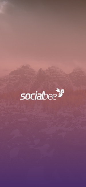 Social Bee Adventures gallery image