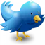 Twitter Logo changer
