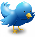 Twitter logotipo Changer