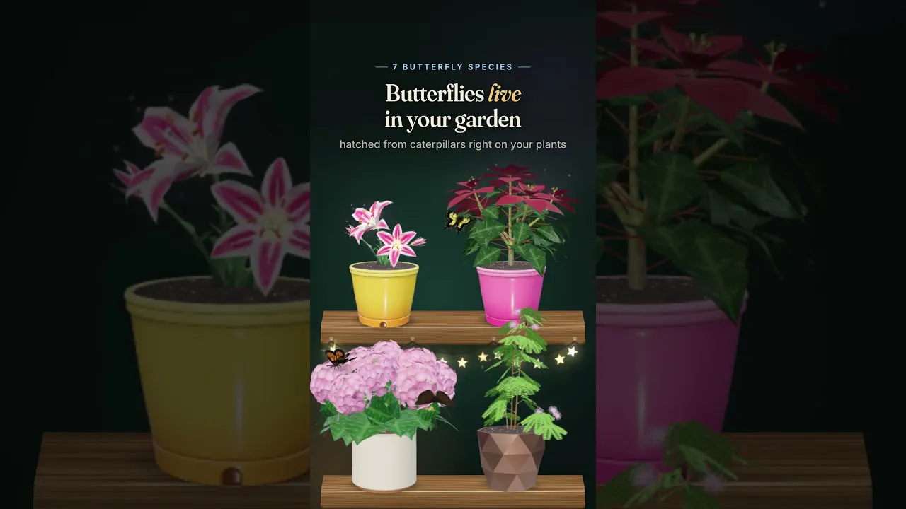 Wonder Garden gallery image