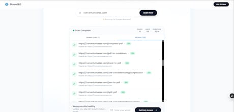 BloomSEO gallery image