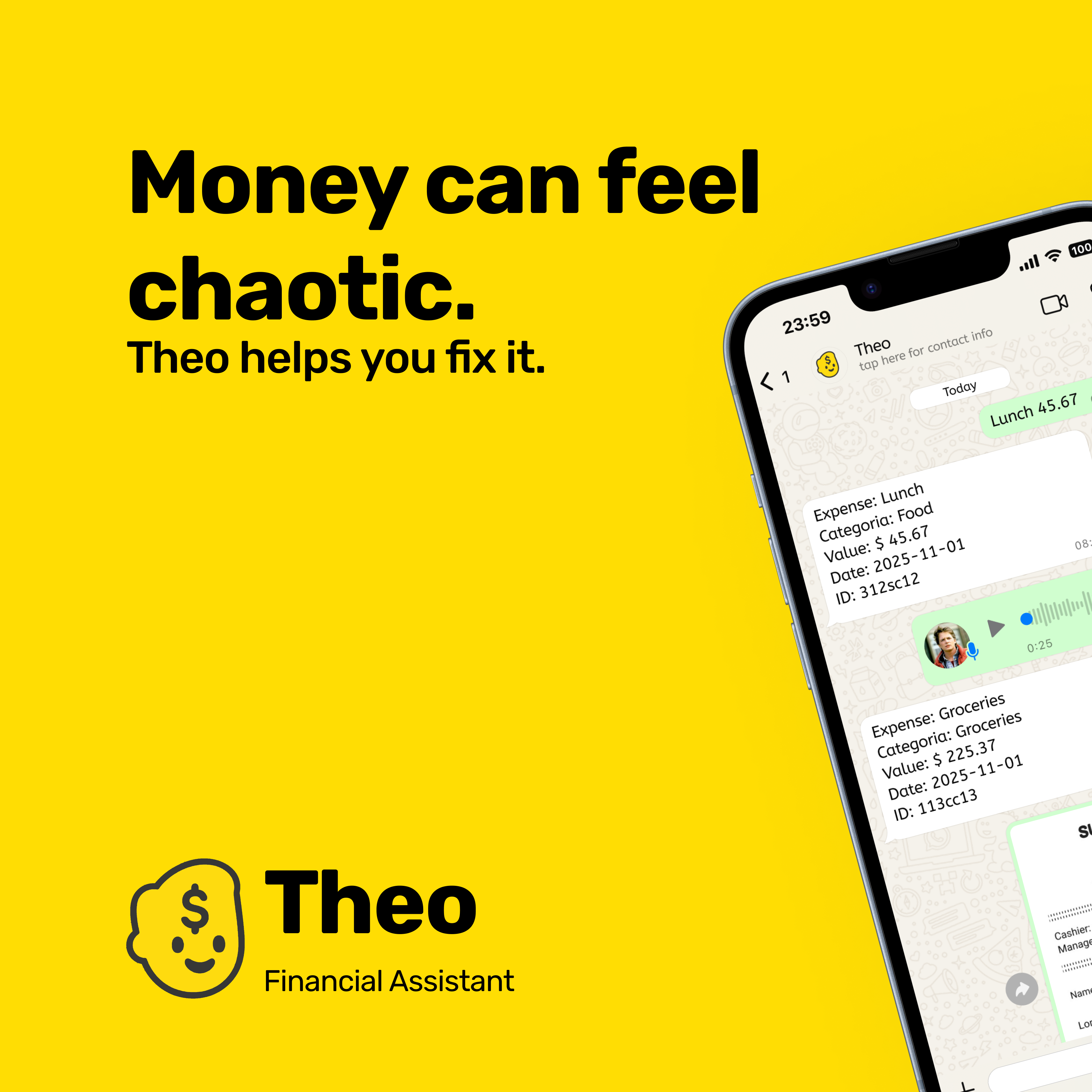 Theo Financial Assistant - Screenshot 3 showing product features and functionality