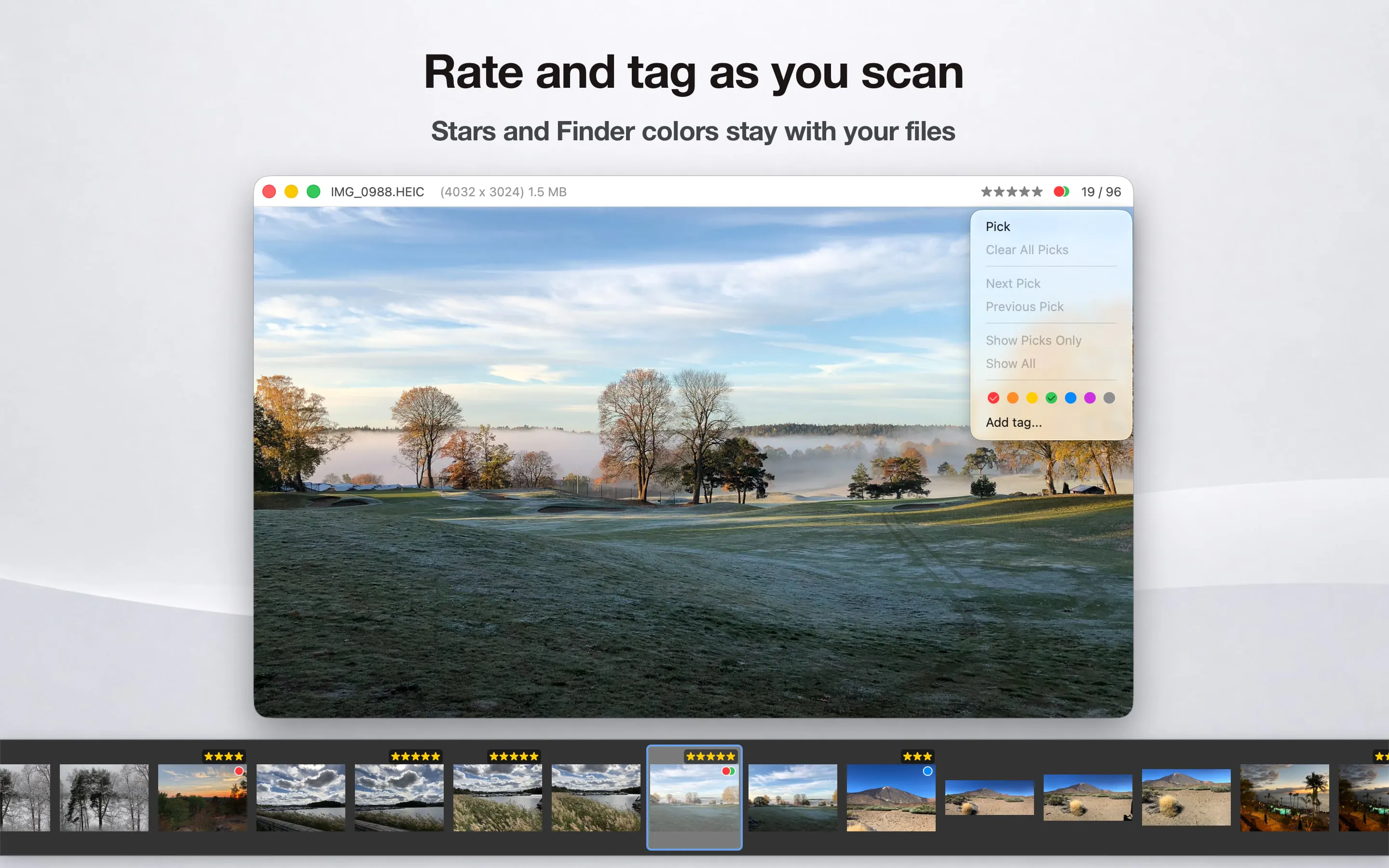 Just Look! gallery image