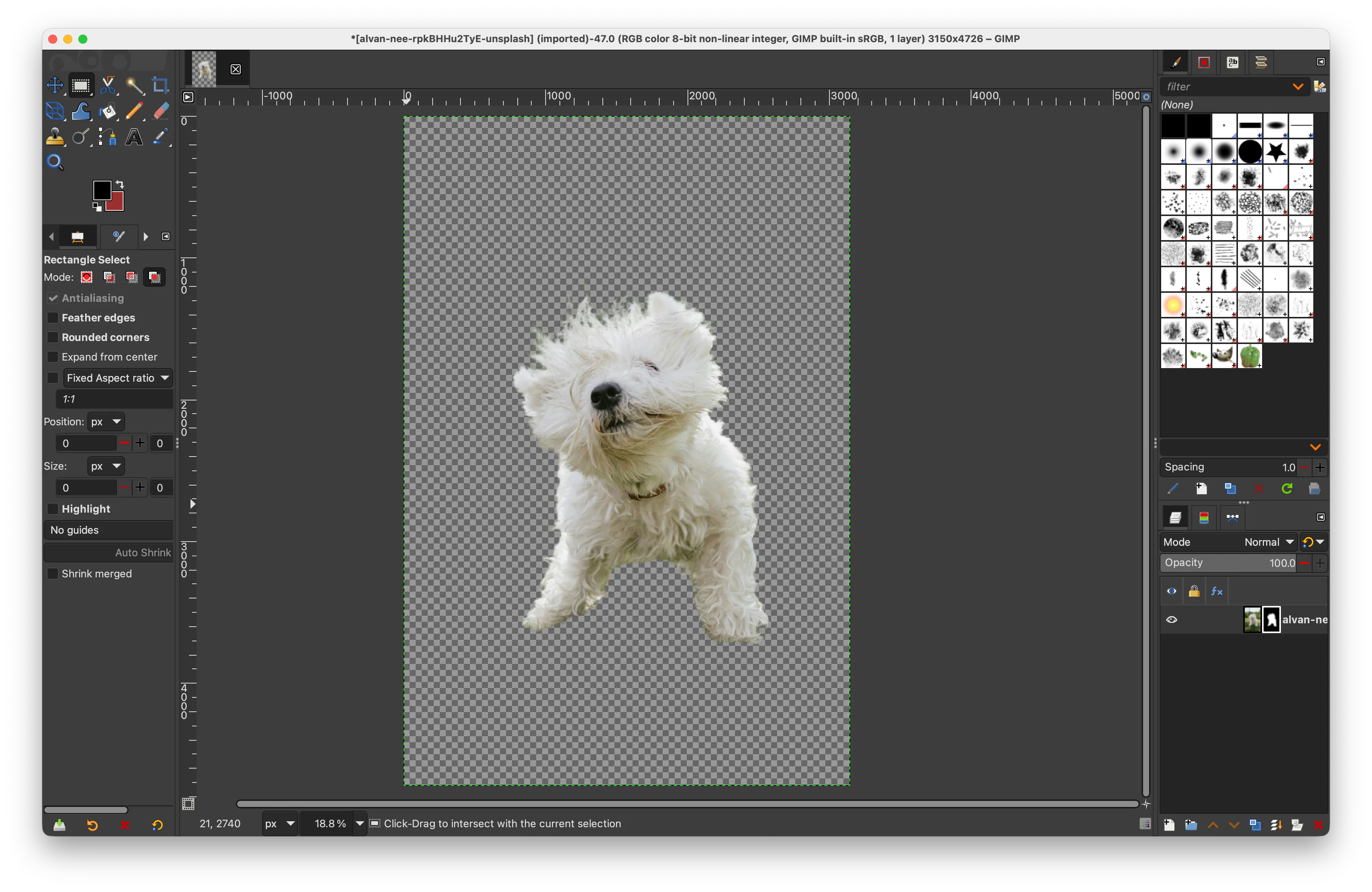 withoutBG Open Weights gallery image