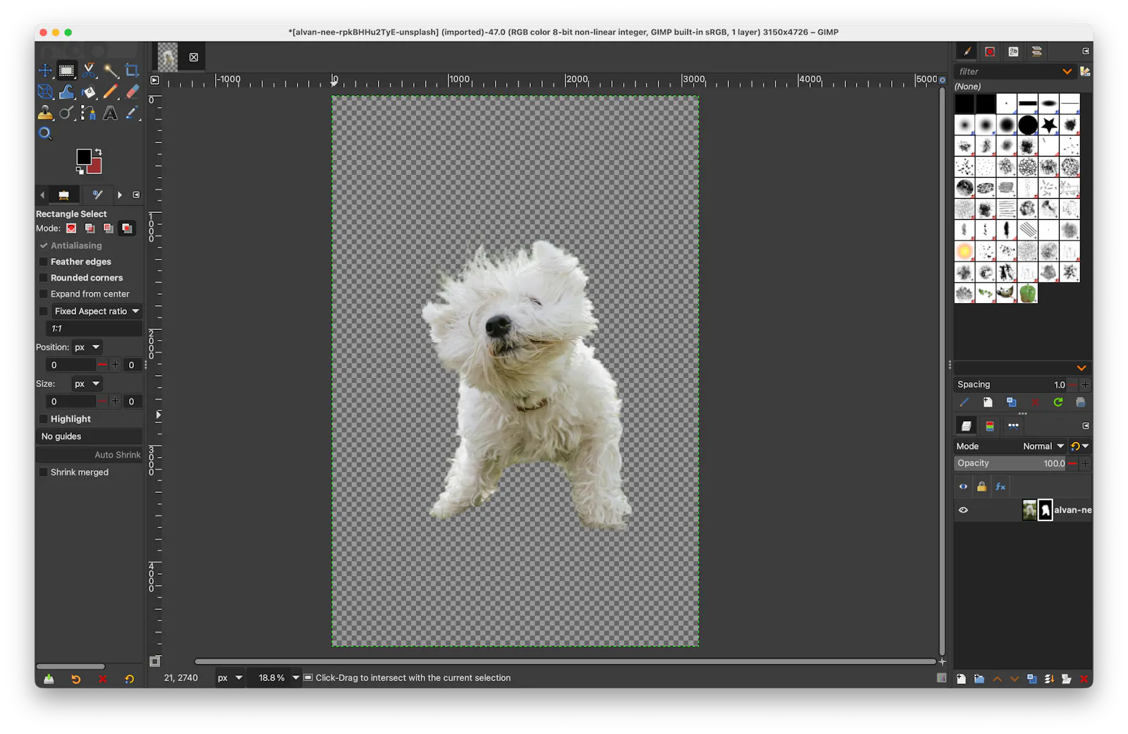 withoutBG Open Weights screenshot 2