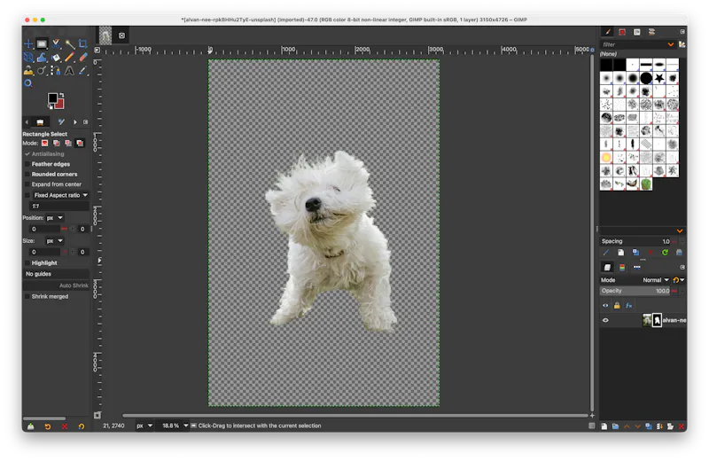 withoutBG Open Weights screenshot 2