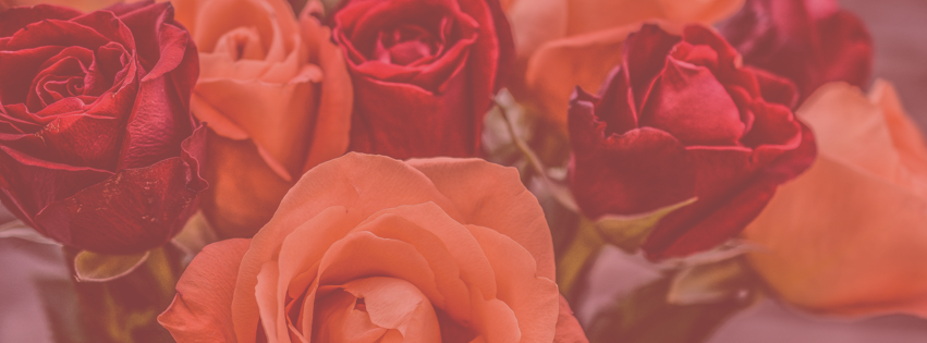 Valentines Hub gallery image