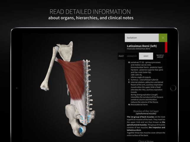 Anatomyka gallery image