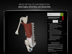Anatomyka gallery image