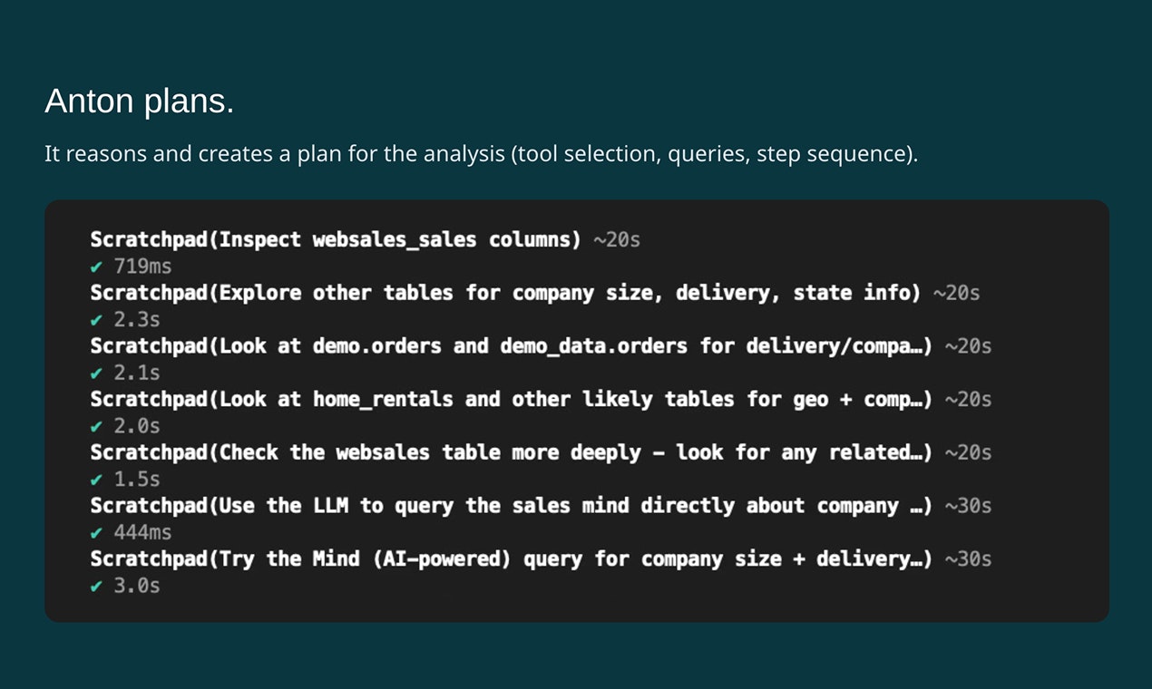 MindsDB Anton gallery image