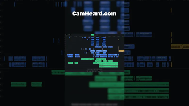 CamHeard screenshot 1 (video preview)