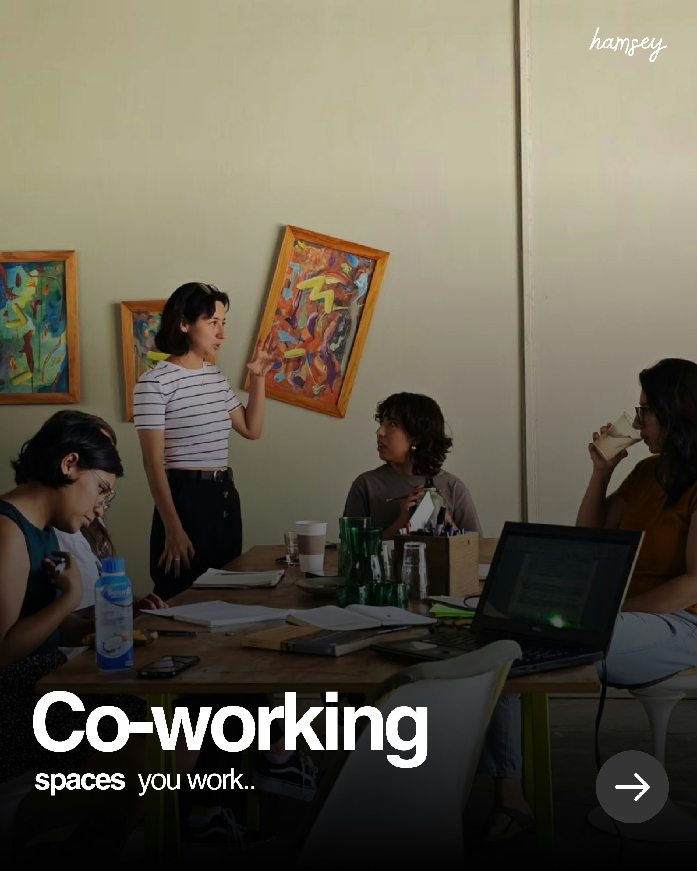 Hamsey - Screenshot 3 showing product features and functionality