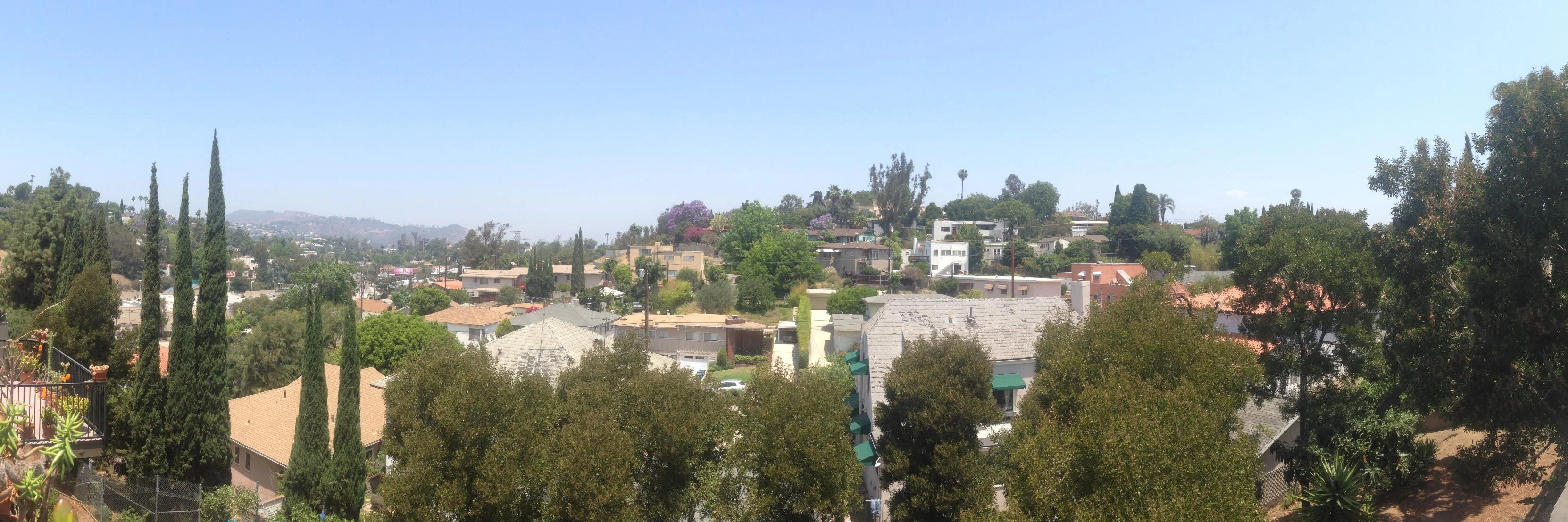 Judd Schoenholtz cover