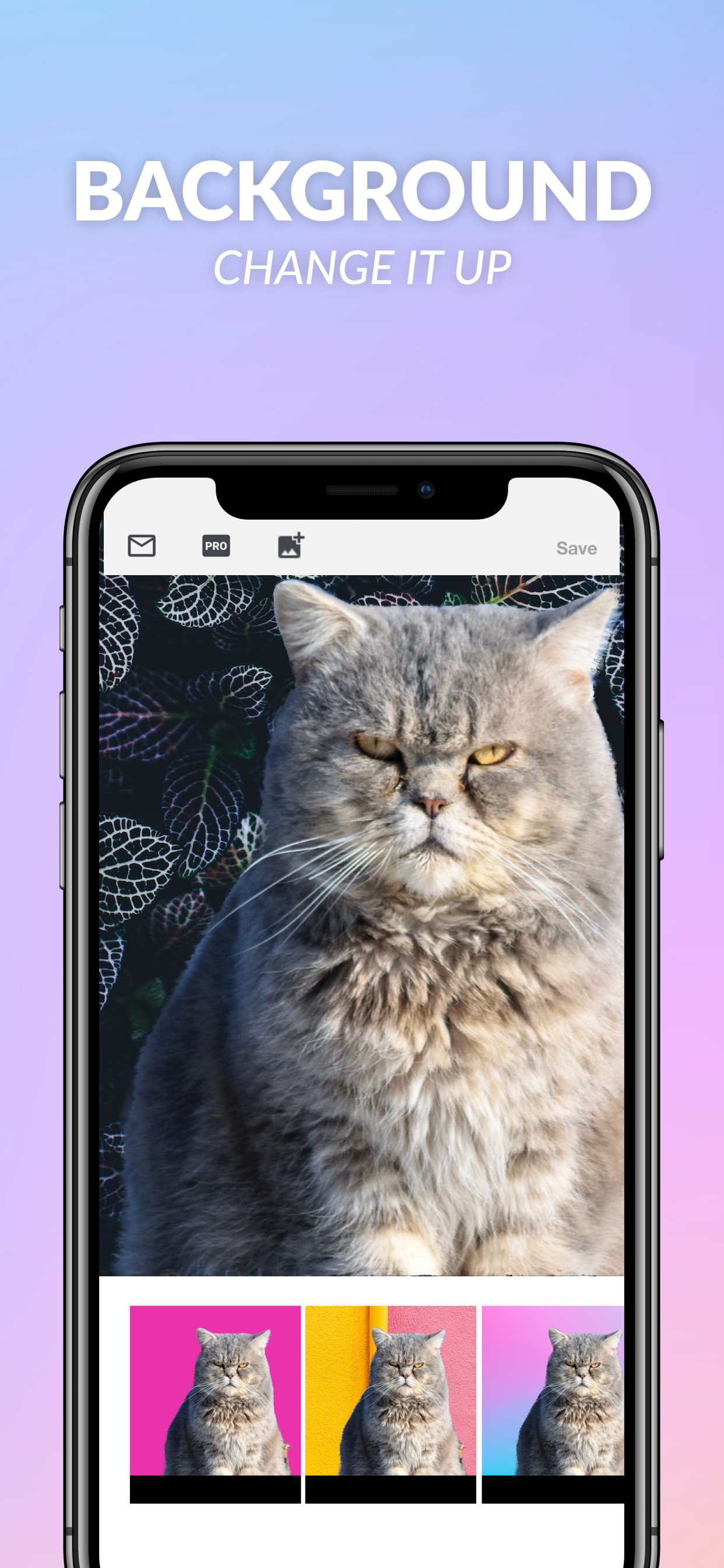 BG App on iPhone Image