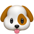 Collie.ai