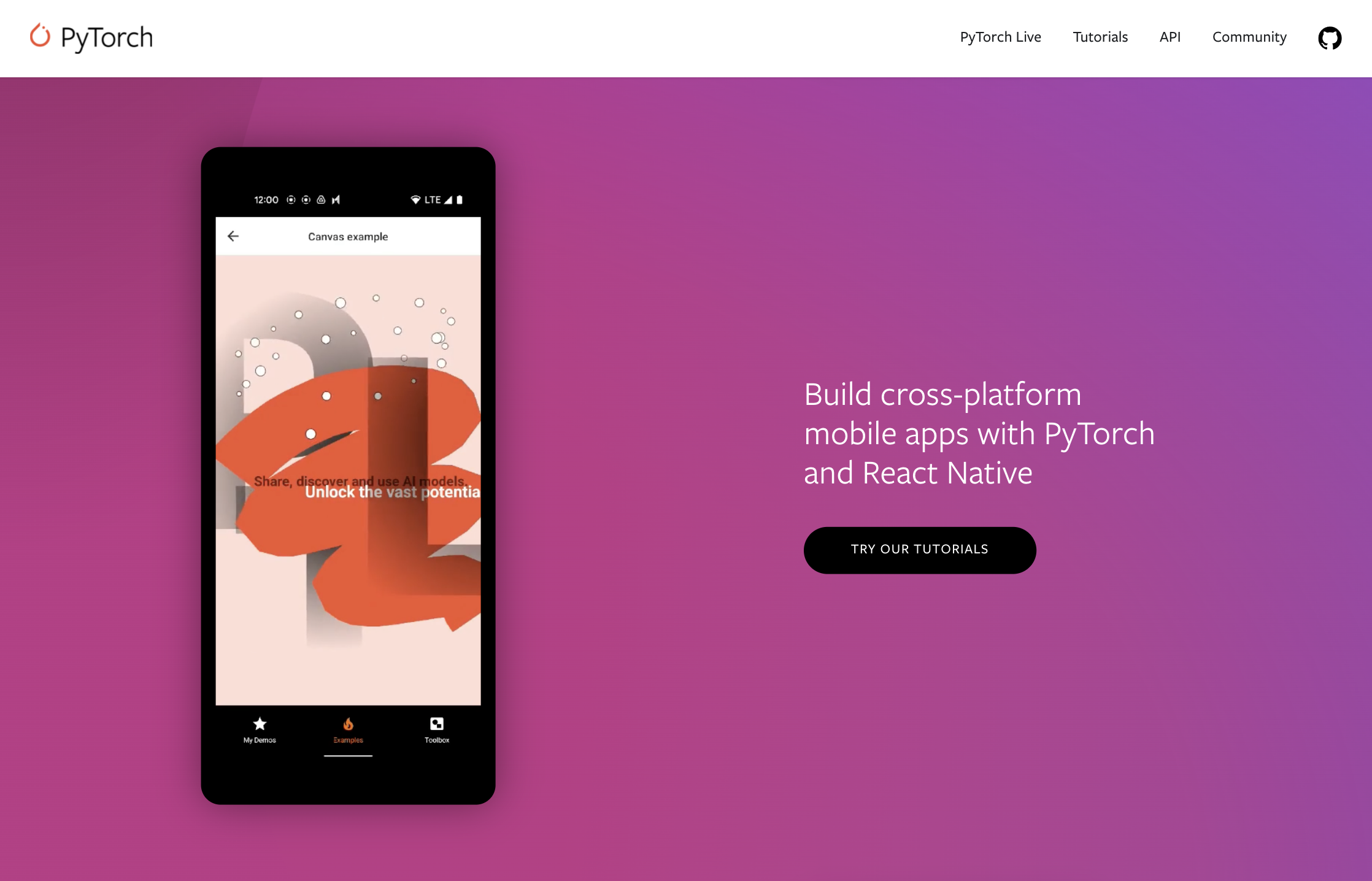 PyTorch gallery image