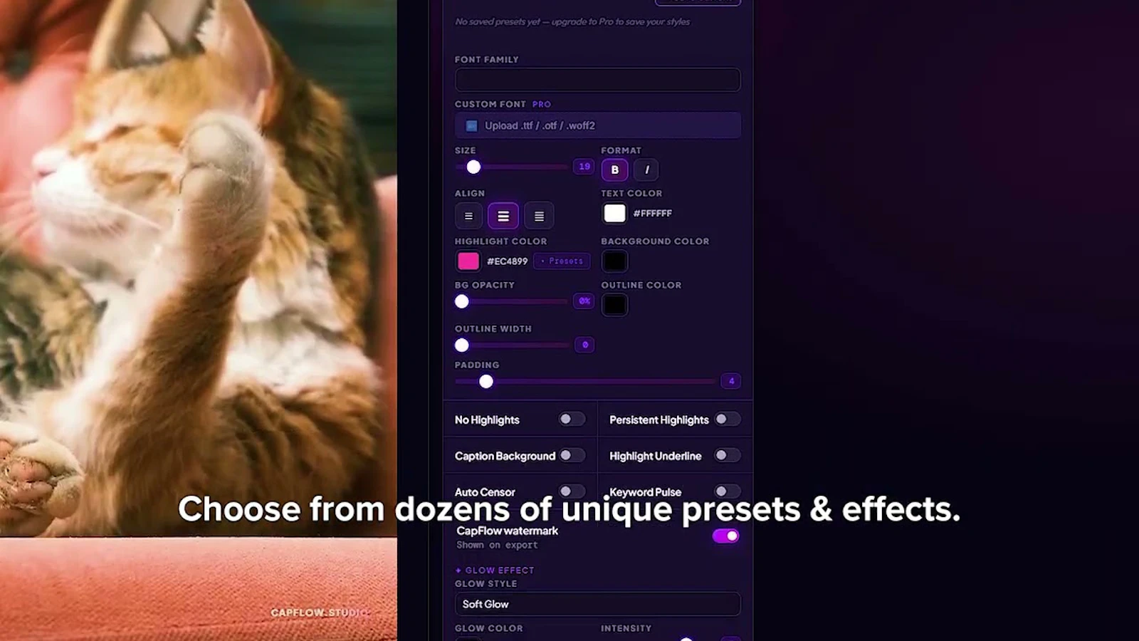 CapFlow Studio screenshot 1 (video preview)