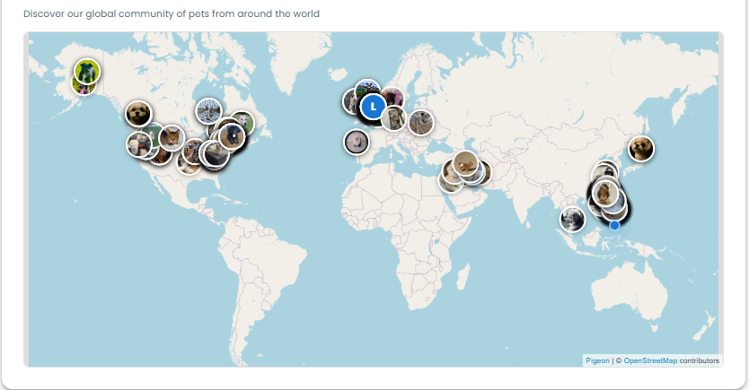 PawsMatch gallery image