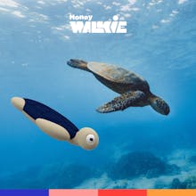 Money Walkie gallery image