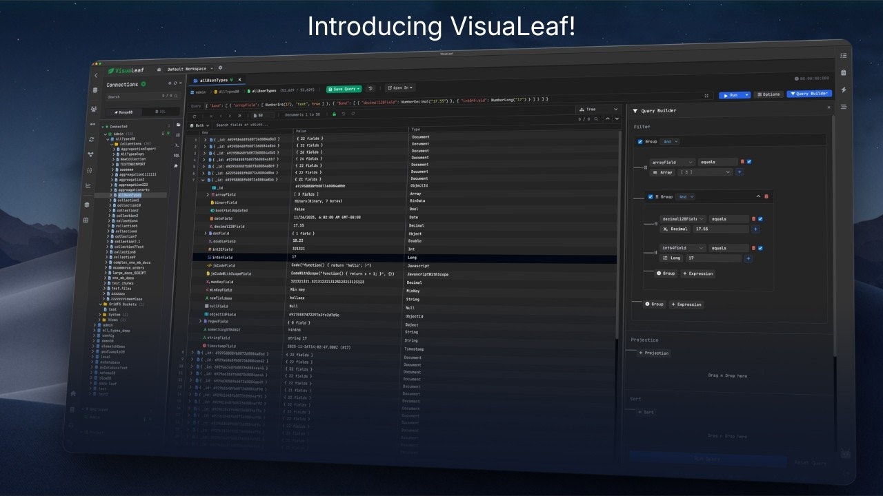 VisuaLeaf gallery image