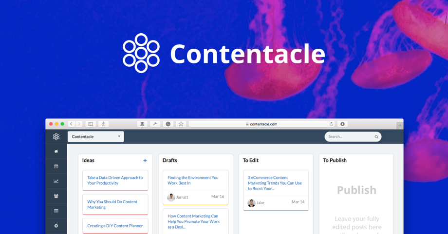 Contentacle 2.0 Image