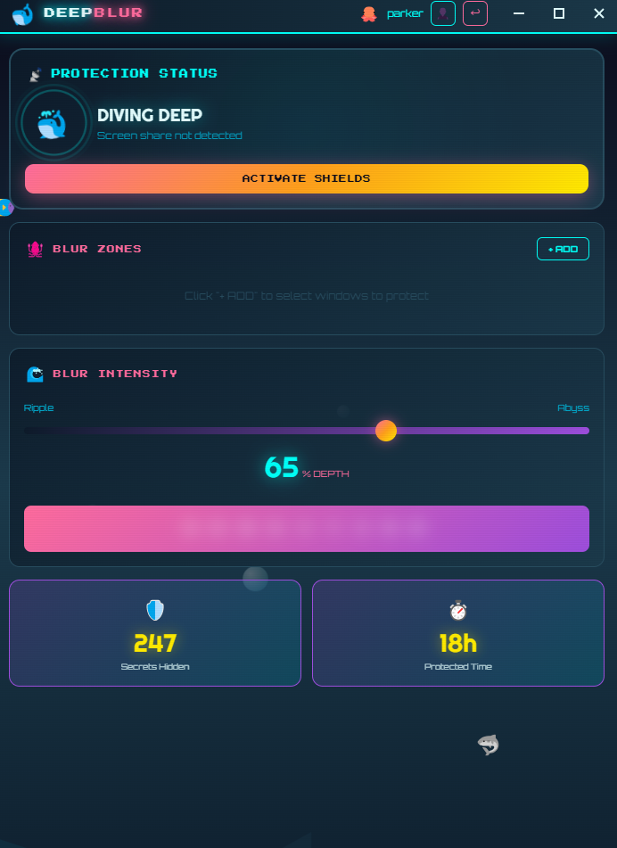 DeepBlur - Main product screenshot demonstrating key features and user interface