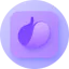 Bladder Journal