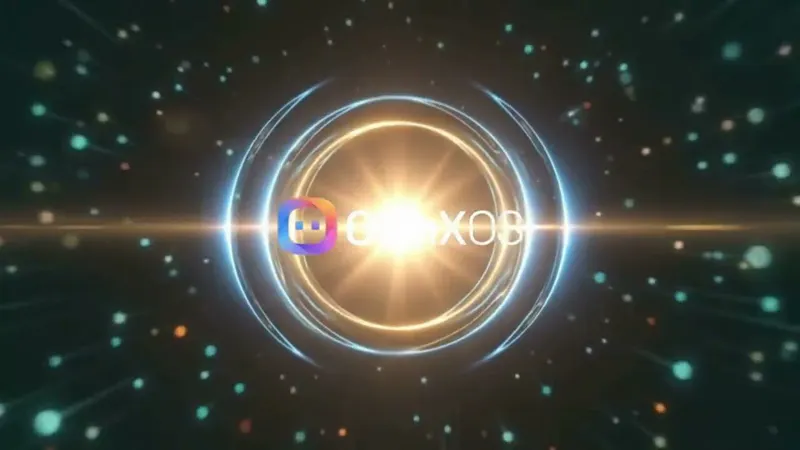 Own 1 screenshot 1 (video preview)