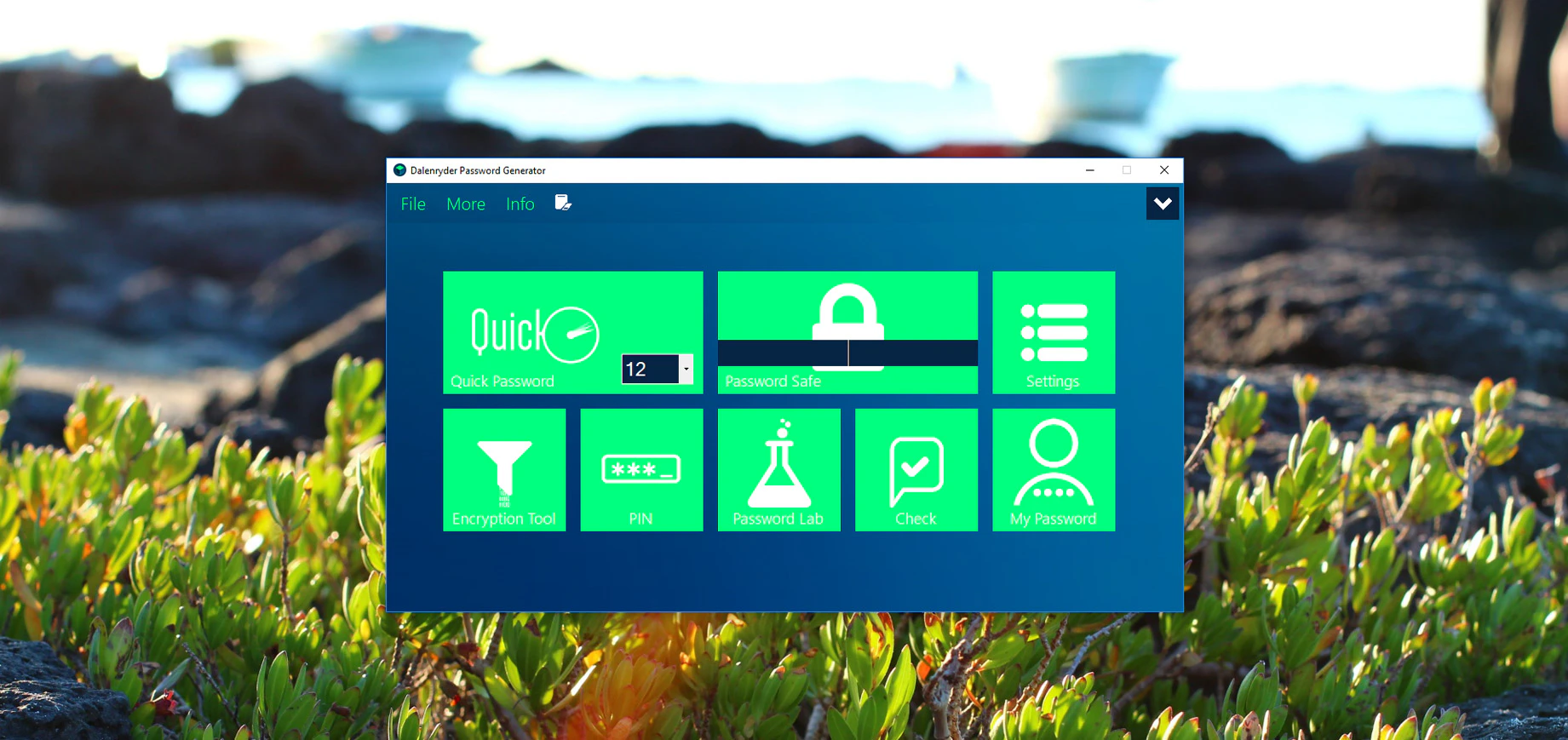Dalenryder Password Generator