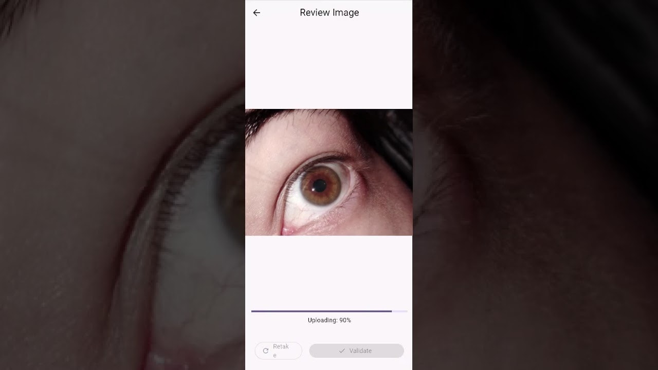 ArtedEye gallery image