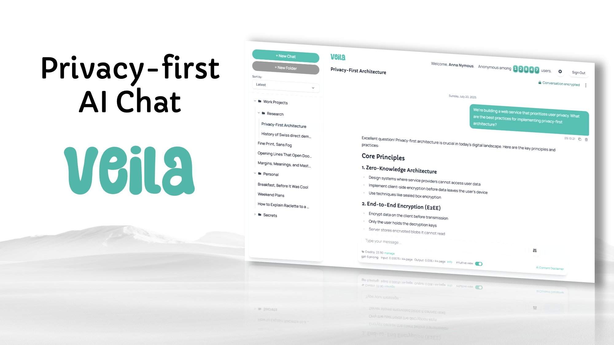 Veila - Main product screenshot demonstrating key features and user interface