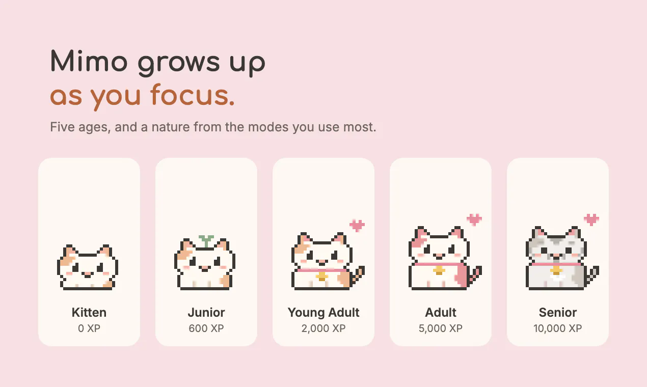 Mimo gallery image
