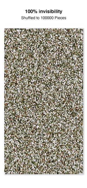 Shuffles gallery image