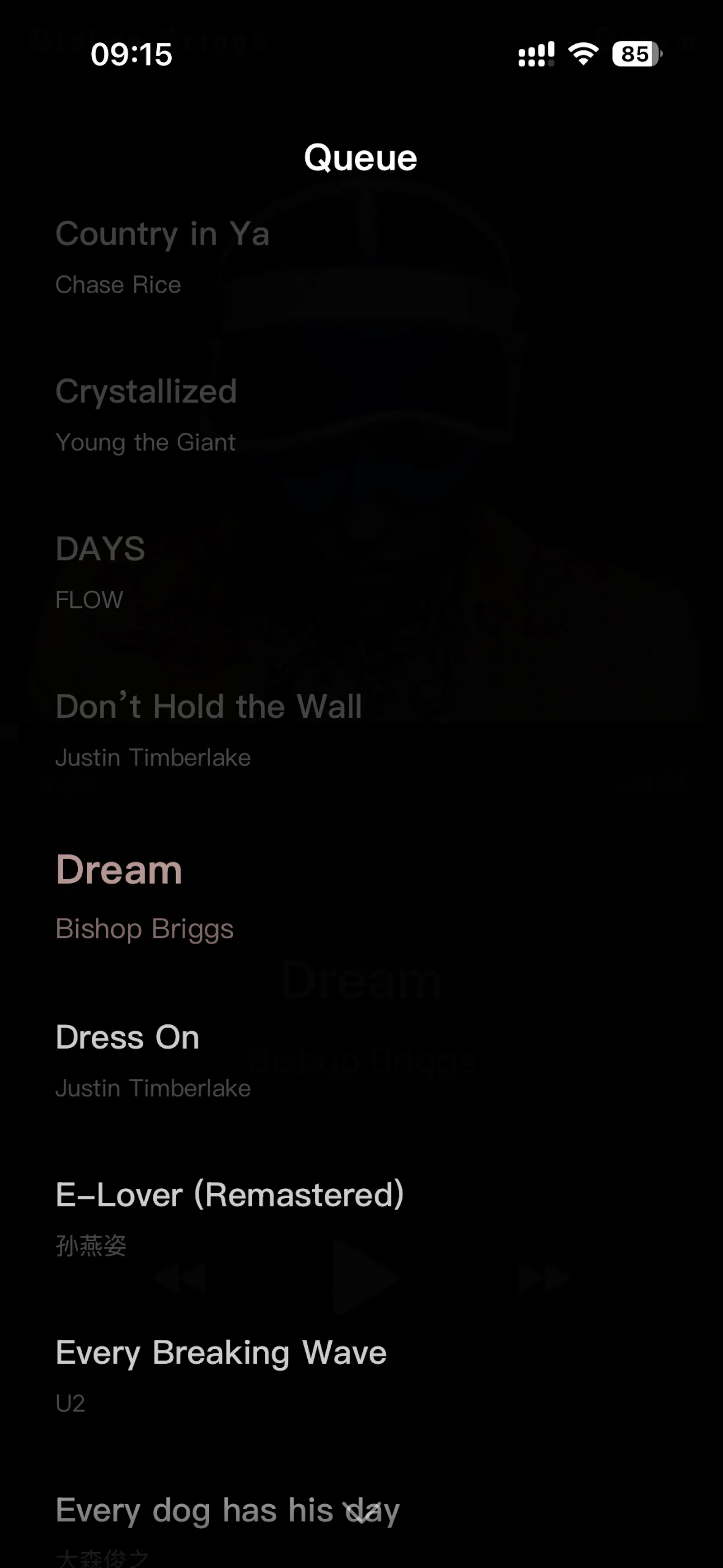 Xtunes-Local Music Player screenshot 3
