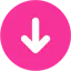 Online Video Downloader