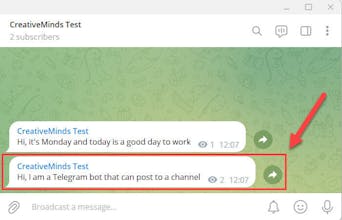 WordPress Telegram Bot Plugin gallery image